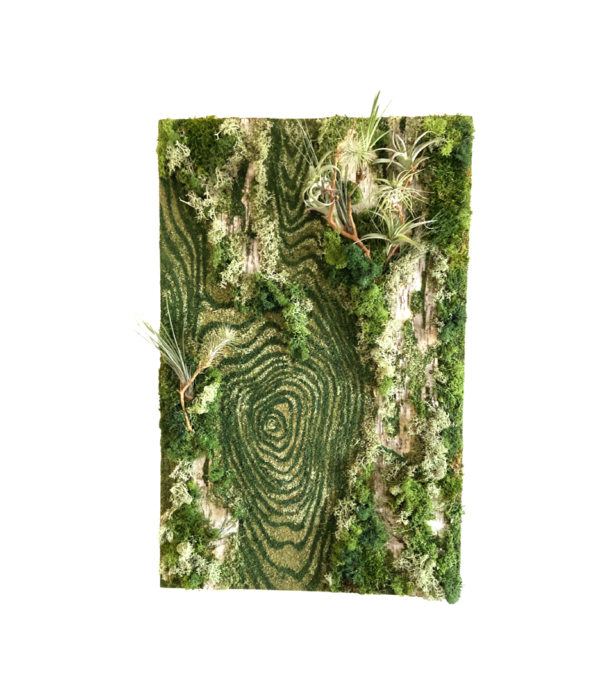 Moss_Wall_Art_Center_Maze_With_Air_Plants