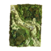 Moss Wall Art Earthy Hills Plant