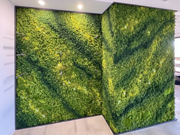 Moss Art Wall