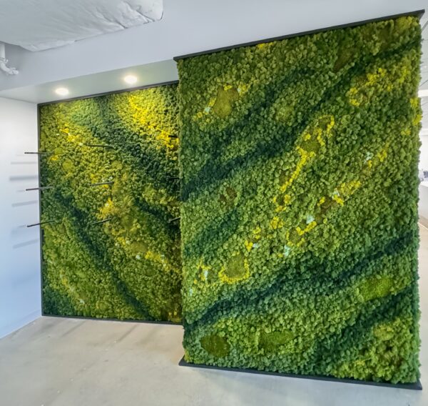 Custom Moss Wall Art for Commercial Office Space
