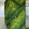 Custom Moss Wall Art for Commercial Office Space
