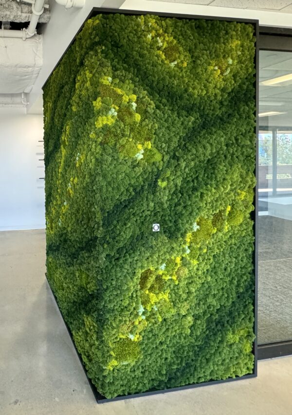 Custom Moss Wall Art for Commercial Office Space