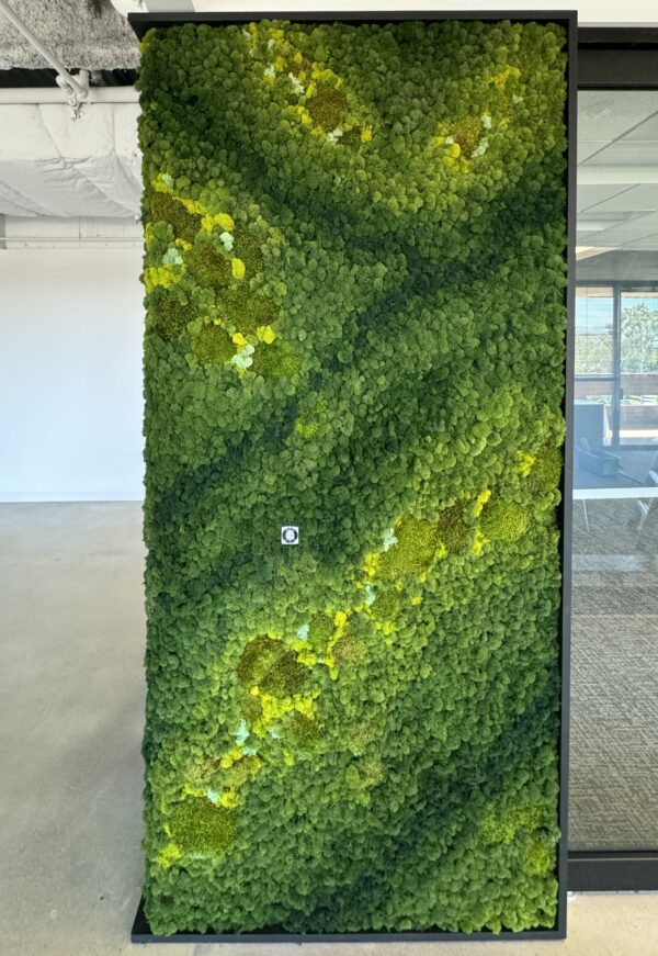 Custom Moss Wall Art for Commercial Office Space