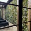 Succulent Living Wall