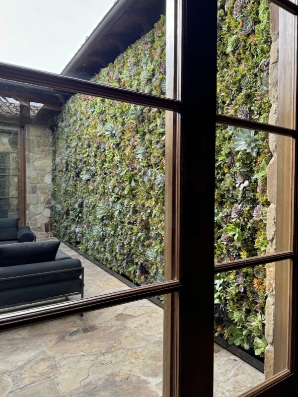 Succulent Living Wall