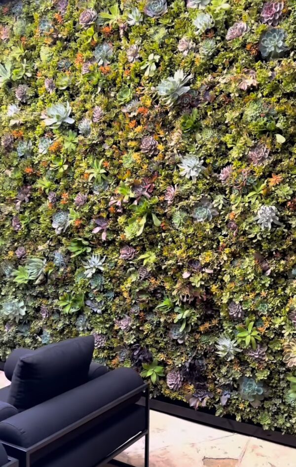 Succulent Living Wall