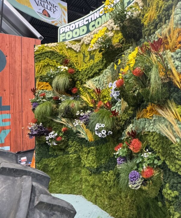 Organic Valley Moss Art Wall with Live Plants, Flowers & Foliage