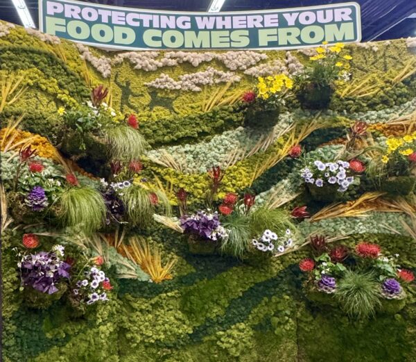 Organic Valley Moss Art Wall with Live Plants, Flowers & Foliage