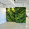 Custom Moss Wall Art for Commercial Office Space