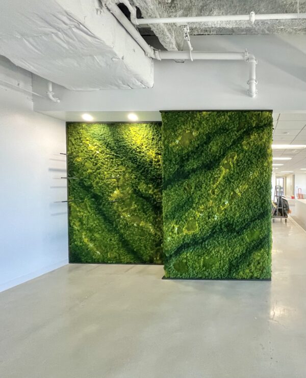 Custom Moss Wall Art for Commercial Office Space