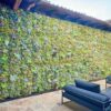 Succulent Living Wall