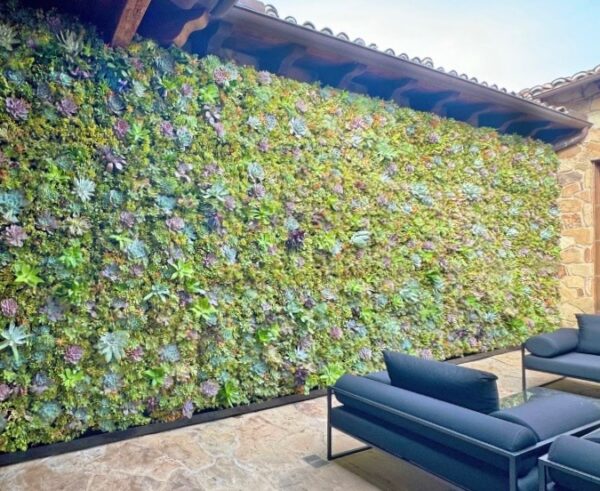 Succulent Living Wall