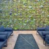 Succulent Living Wall