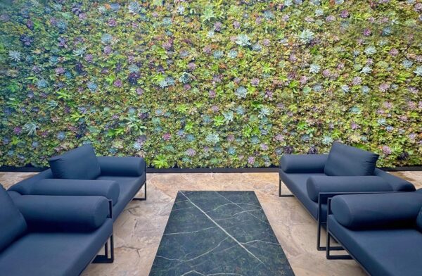 Succulent Living Wall